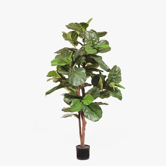 Artificial 2 x Fiddle Leaf Tree