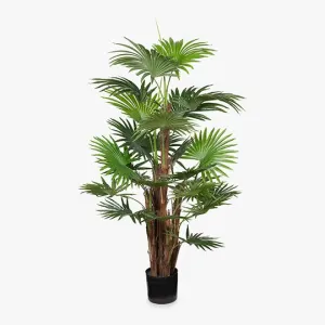 Artificial 2 x Palm Fan Plant