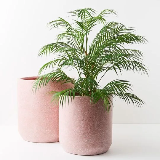 Artificial 2 x Palm Phoenix