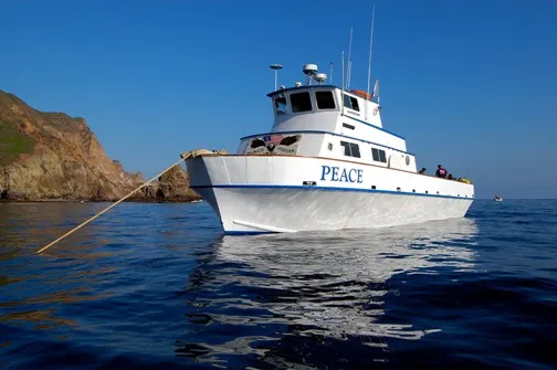 Channel Islands Boat Trip [Dec 8 2024]