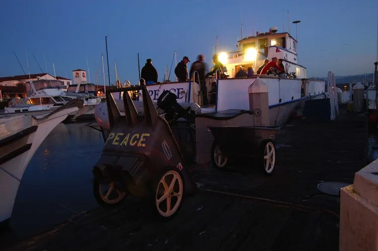 Channel Islands Boat Trip [Nov 24 2024]