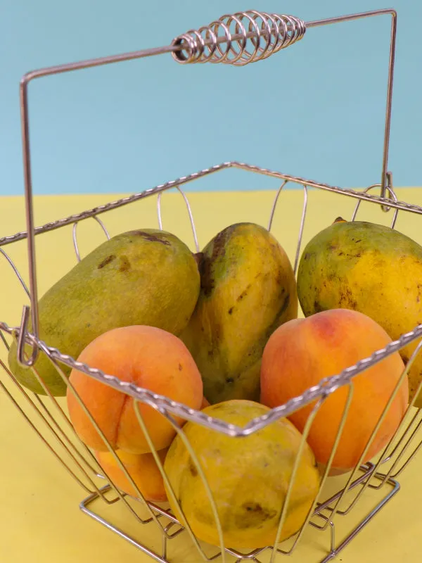 KTC9 Stainless Steel Fruits & Vegetable Basket Silver